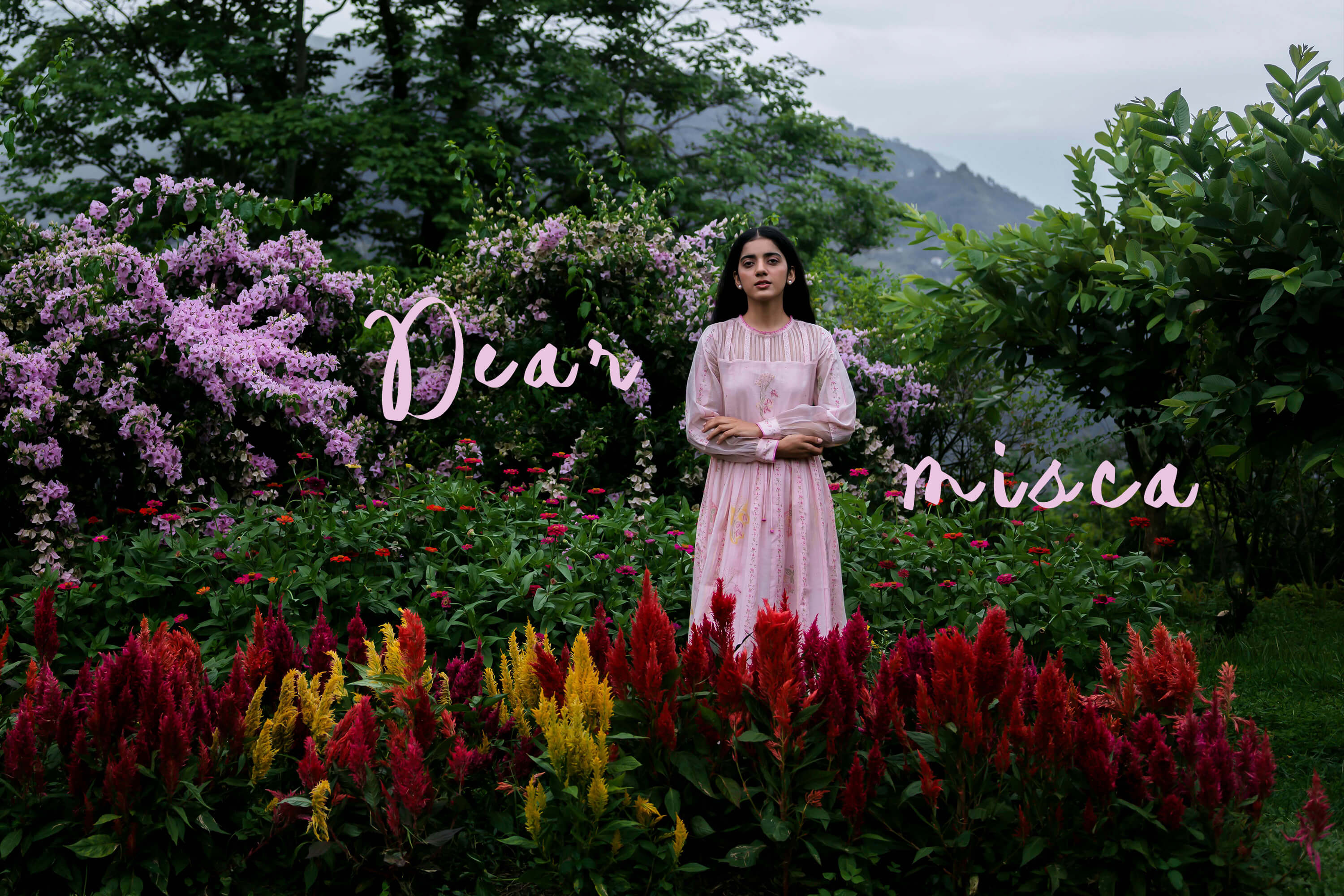 Dear Misca: Letters to a Quiet Beginning