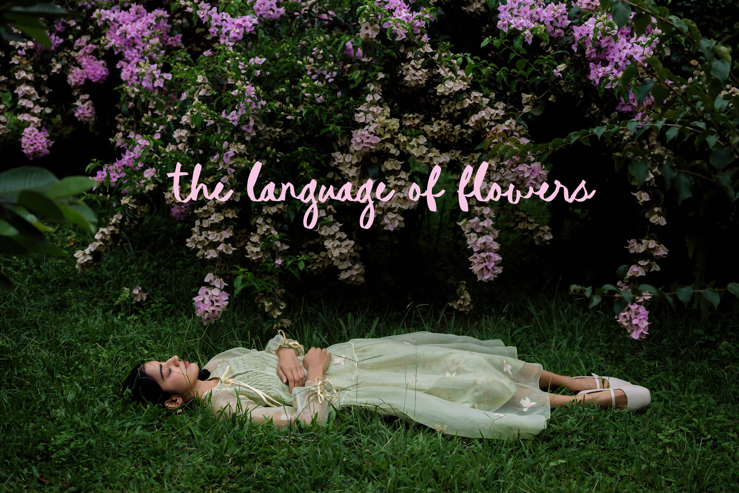 The Language of Flowers