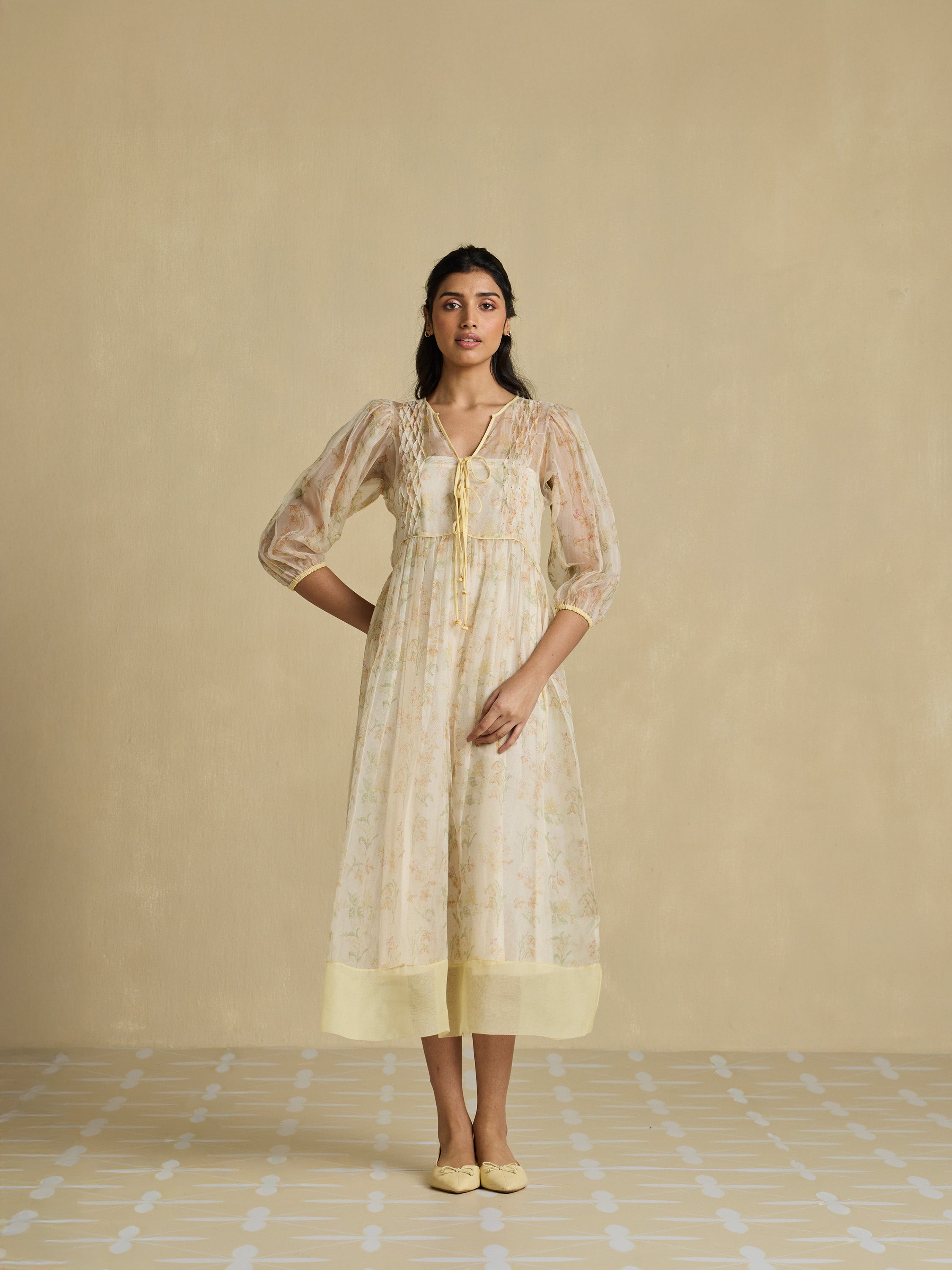 A Sheer Moment Organza Dress