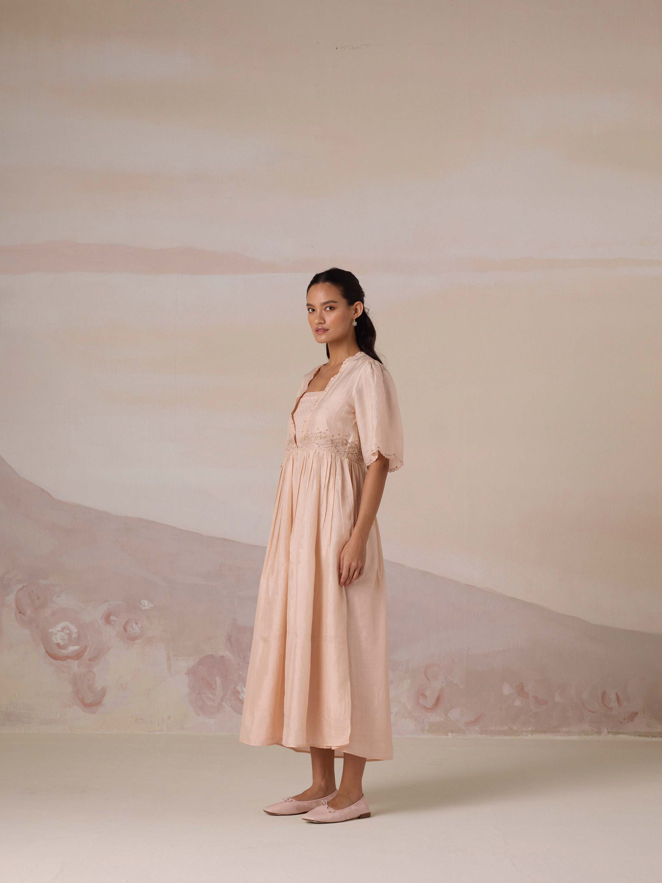Silken Flight Embroidered Dress