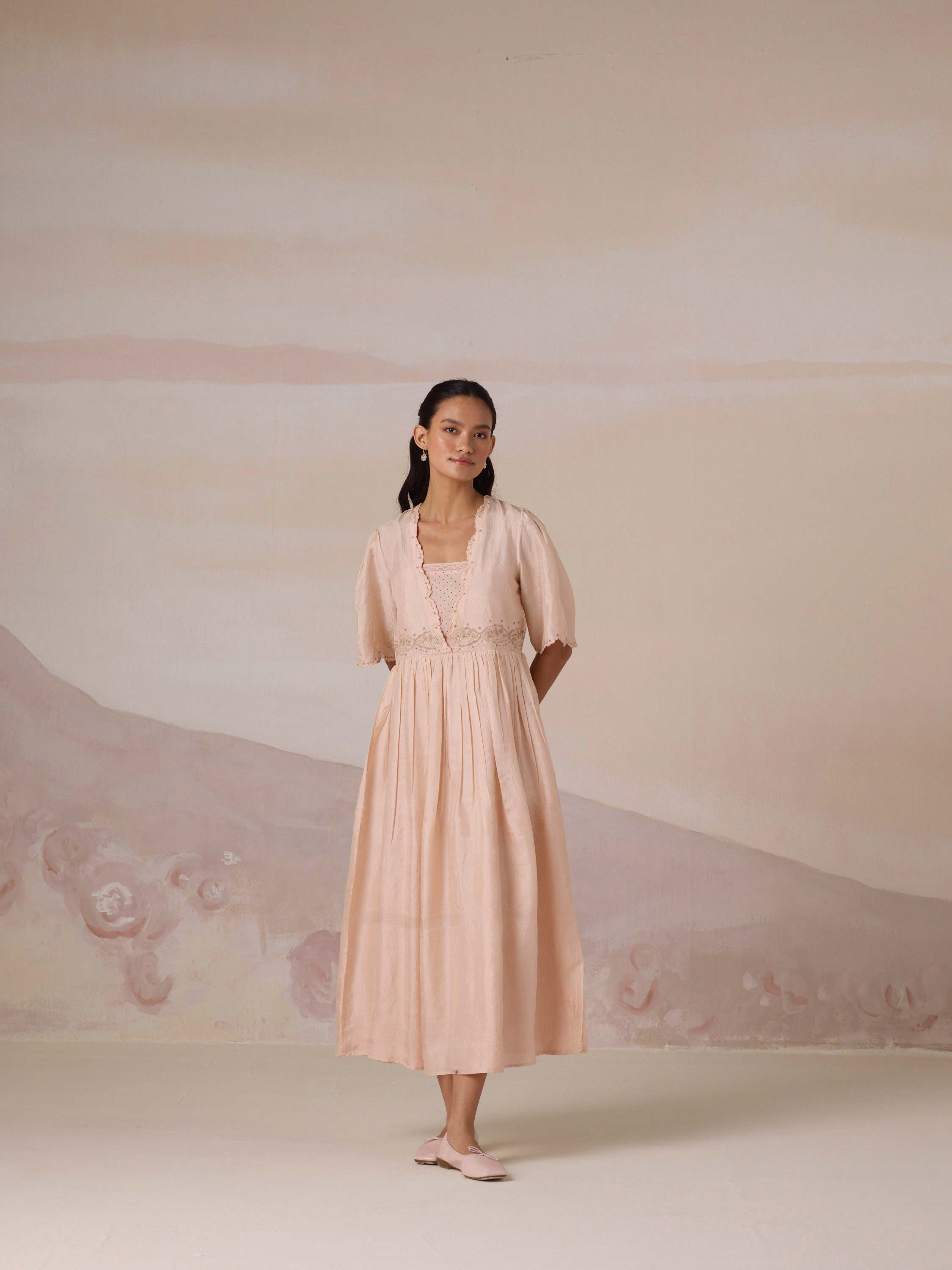Silken Flight Embroidered Dress