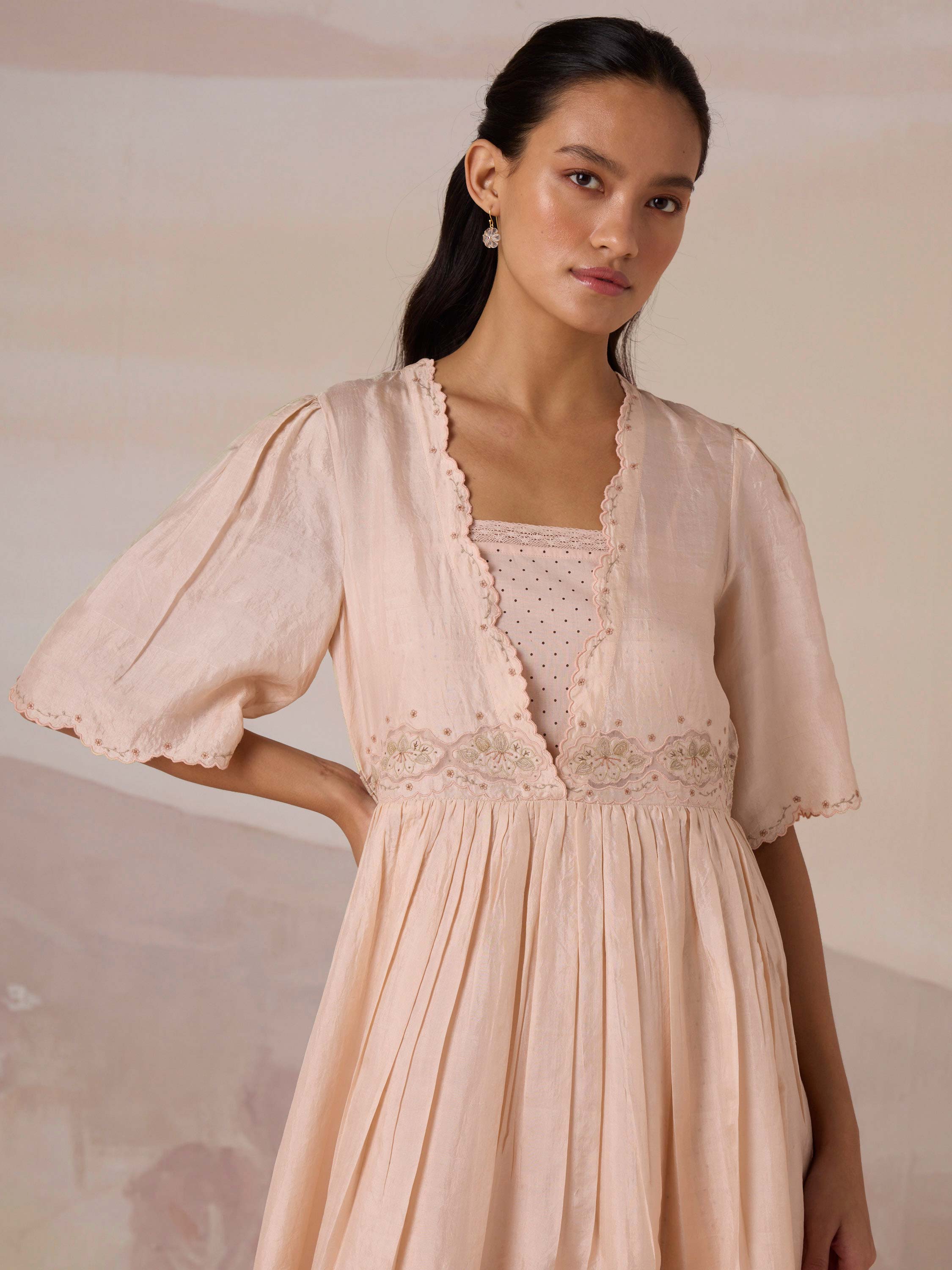 Silken Flight Embroidered Dress