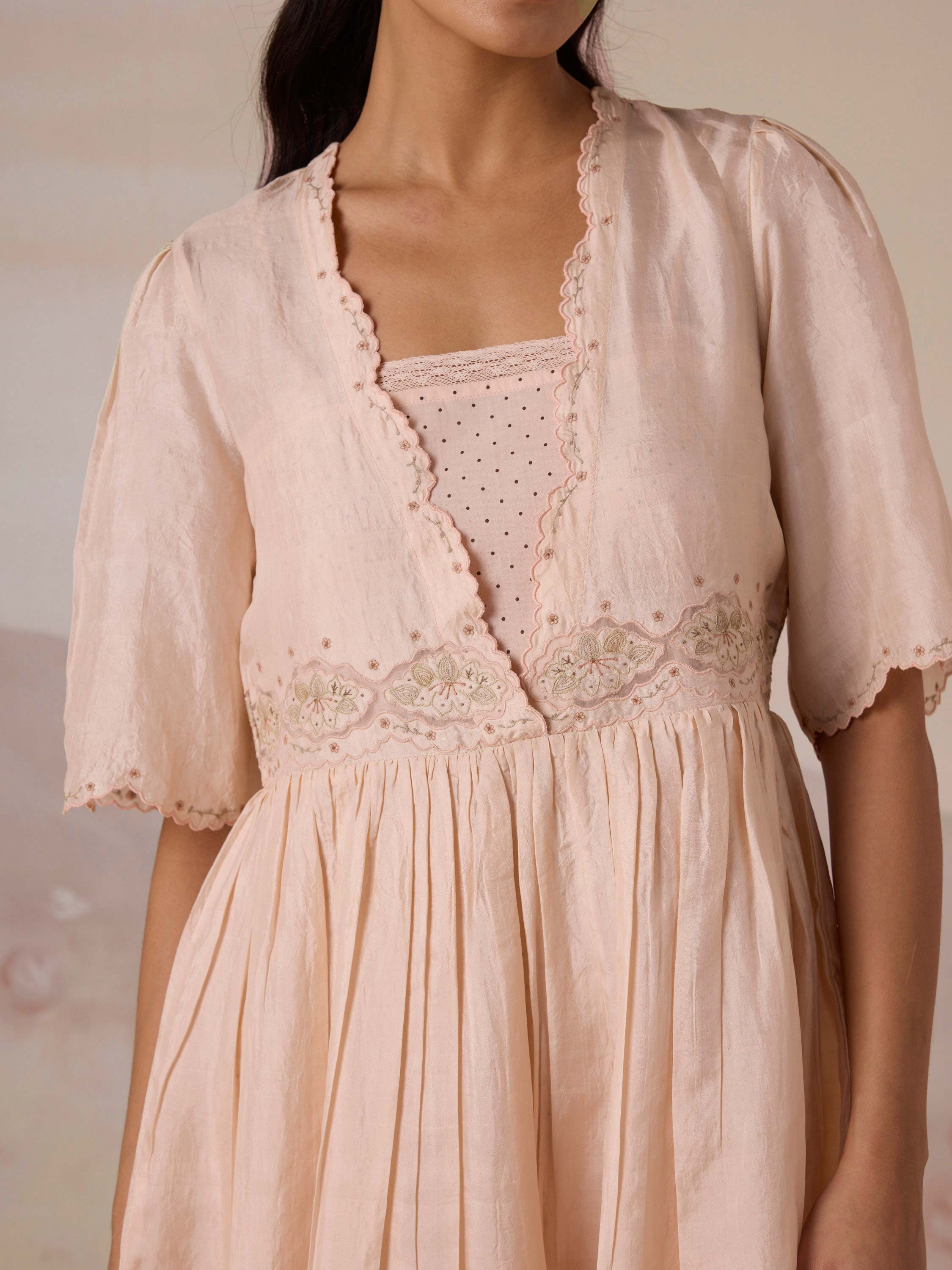 Silken Flight Embroidered Dress