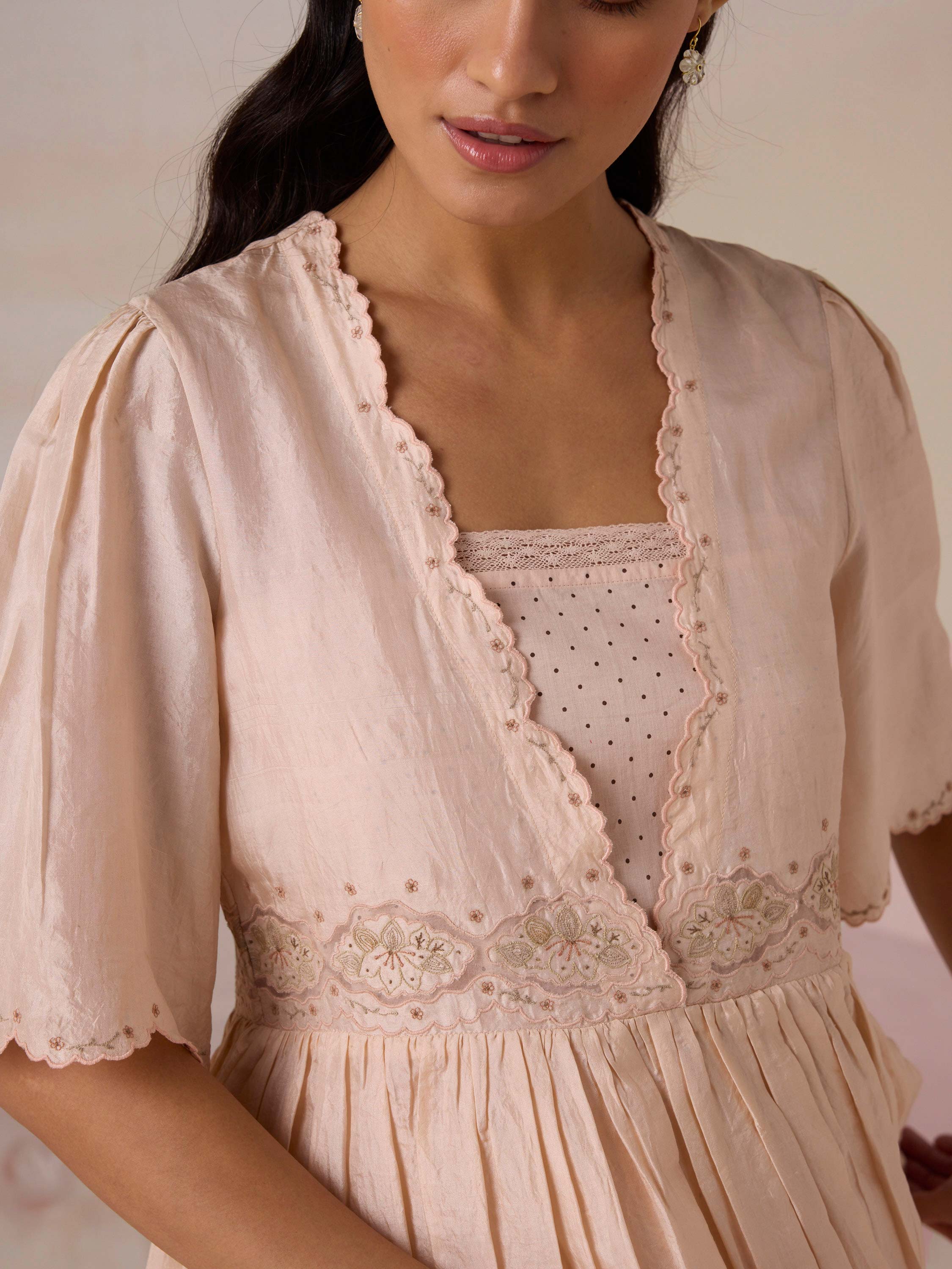 Silken Flight Embroidered Dress