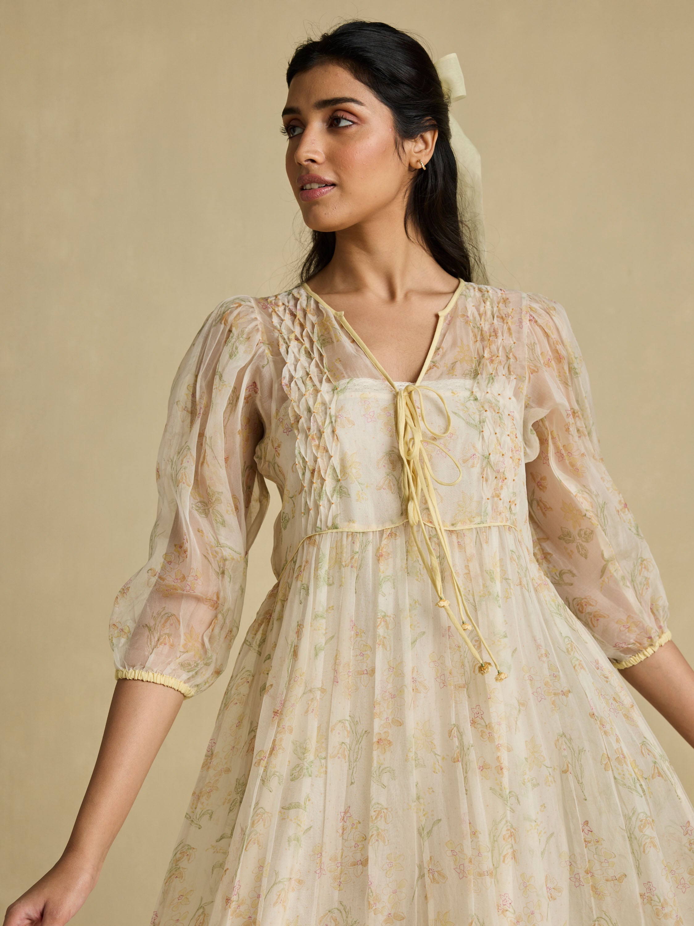 A Sheer Moment Organza Dress