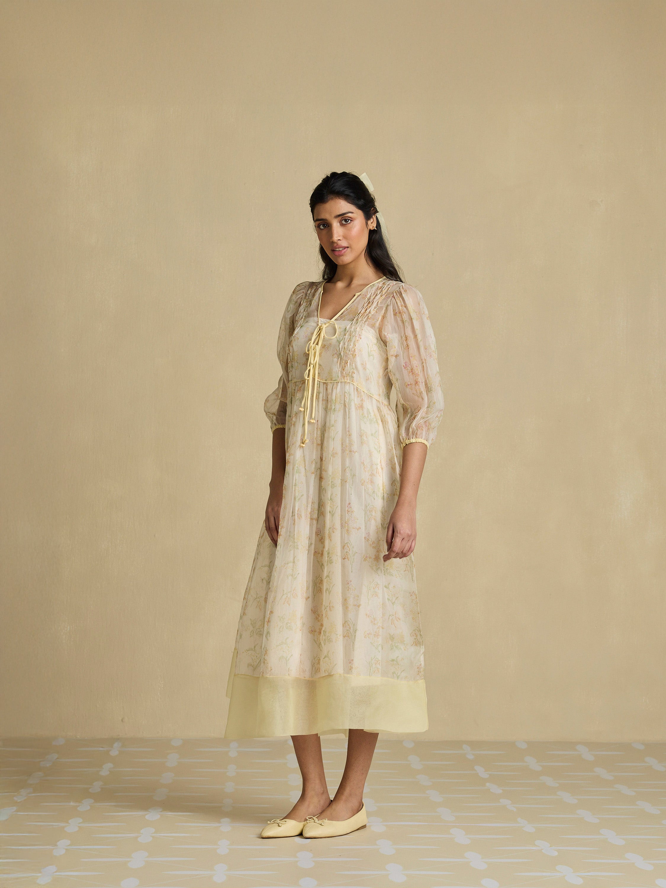 A Sheer Moment Organza Dress