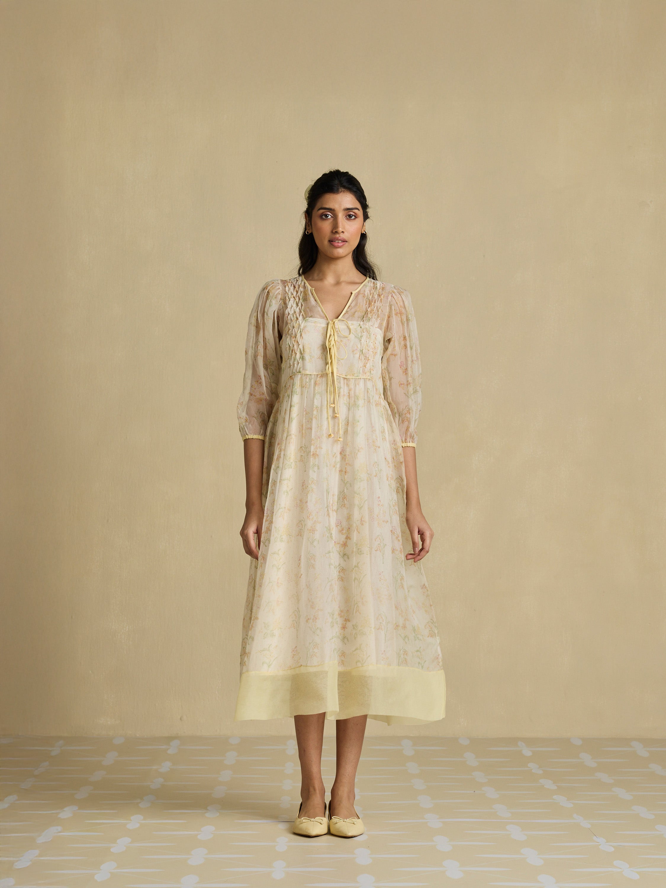 A Sheer Moment Organza Dress