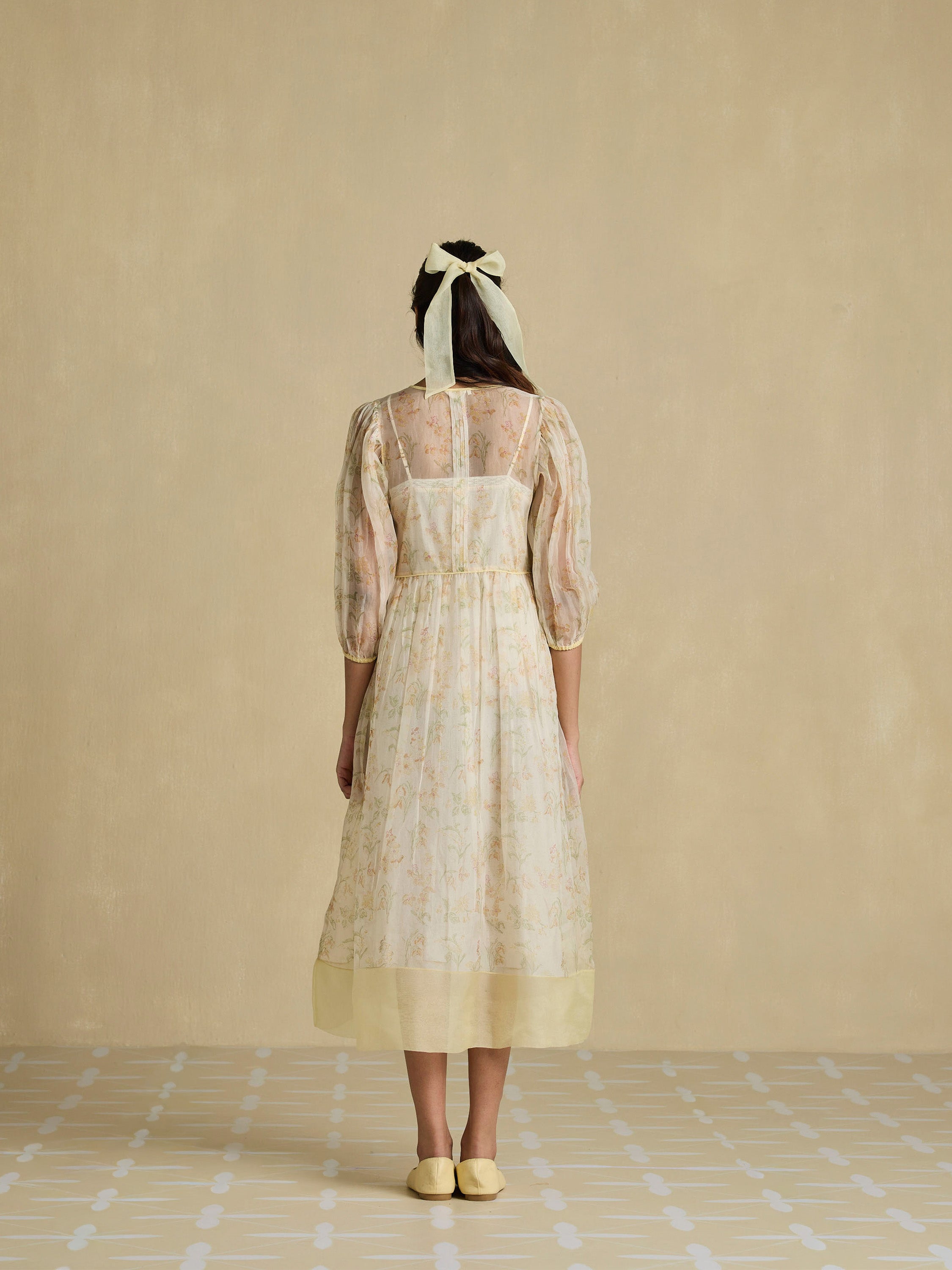 A Sheer Moment Organza Dress