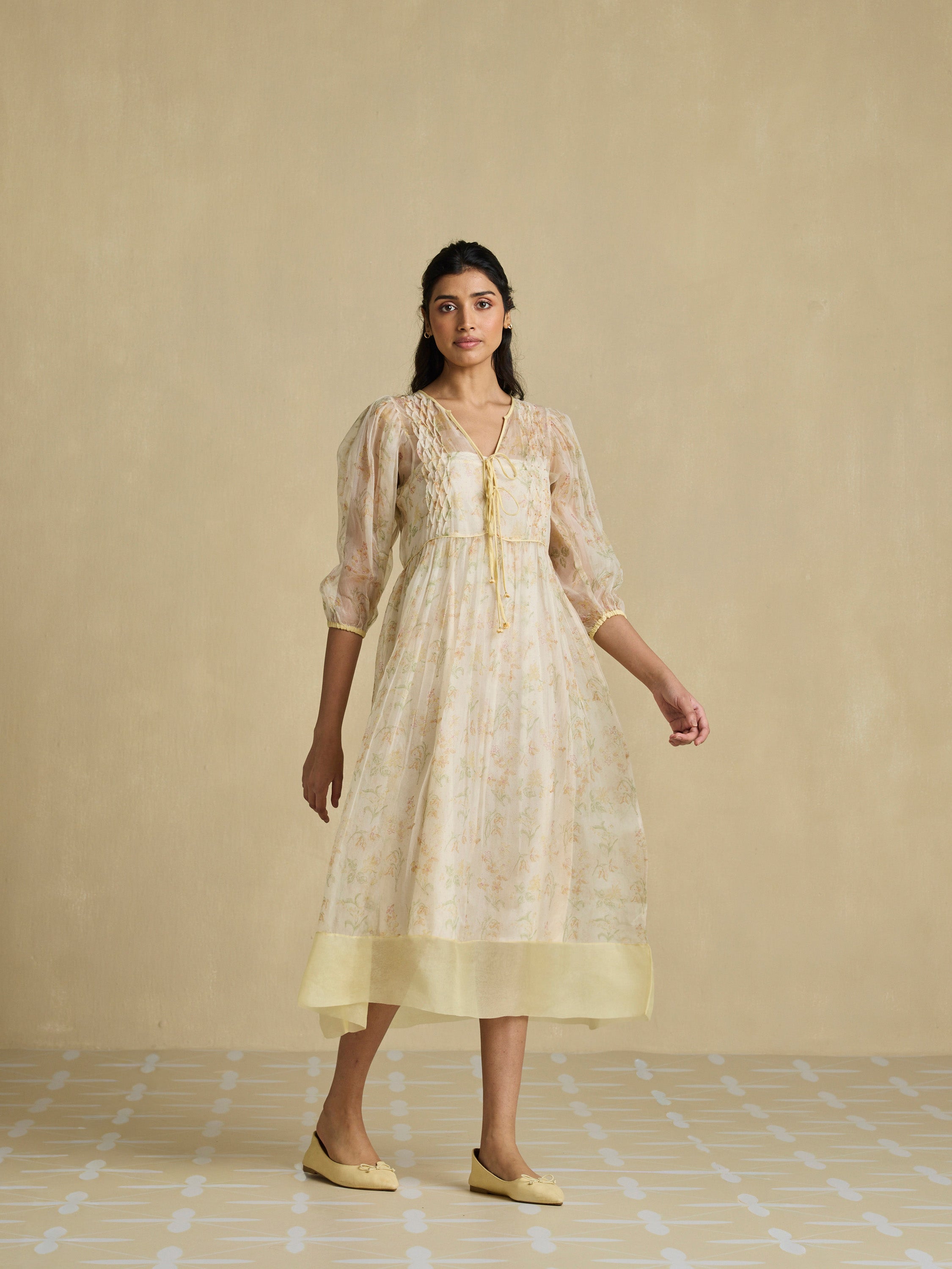 A Sheer Moment Organza Dress