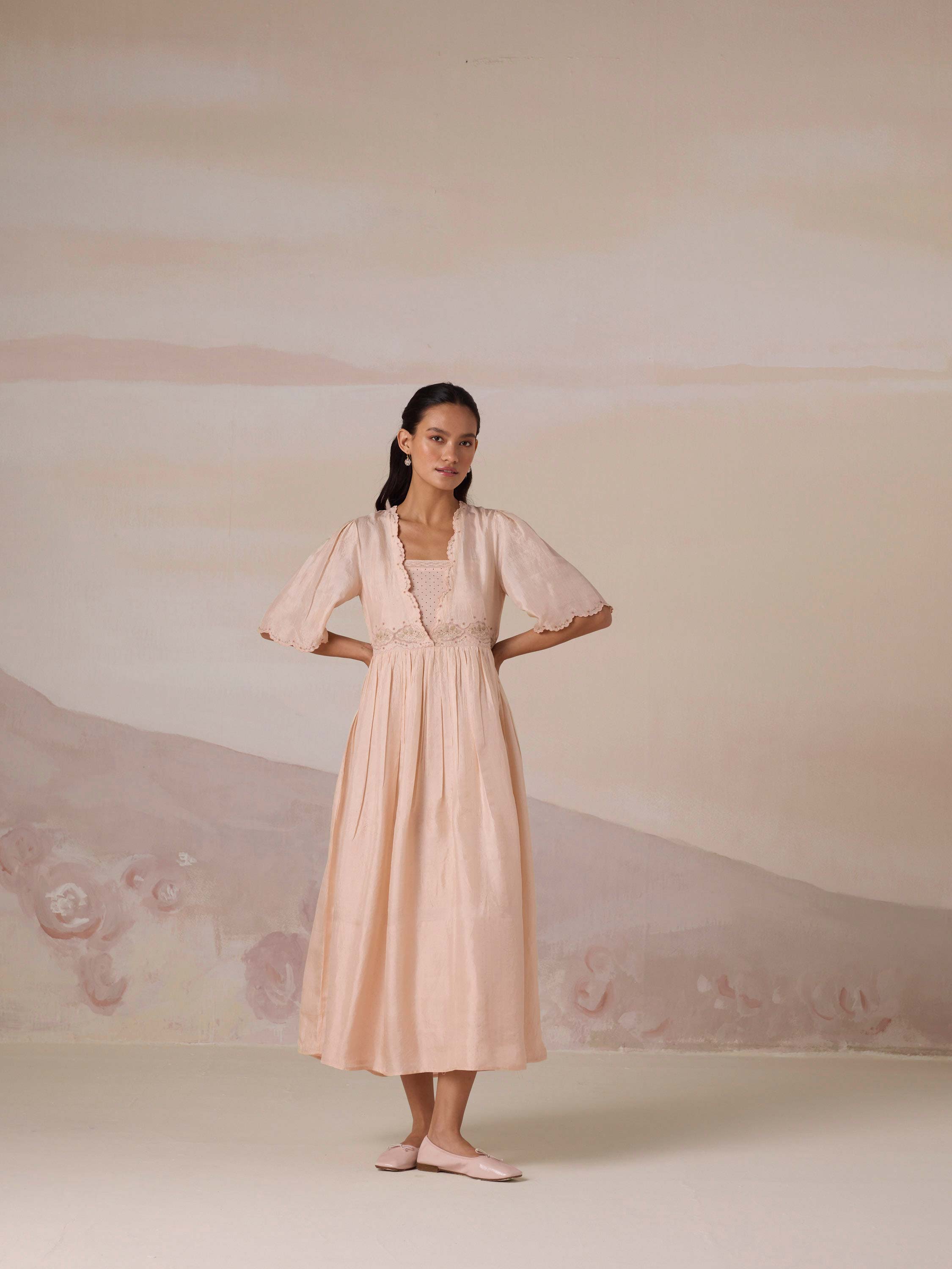 Silken Flight Embroidered Dress