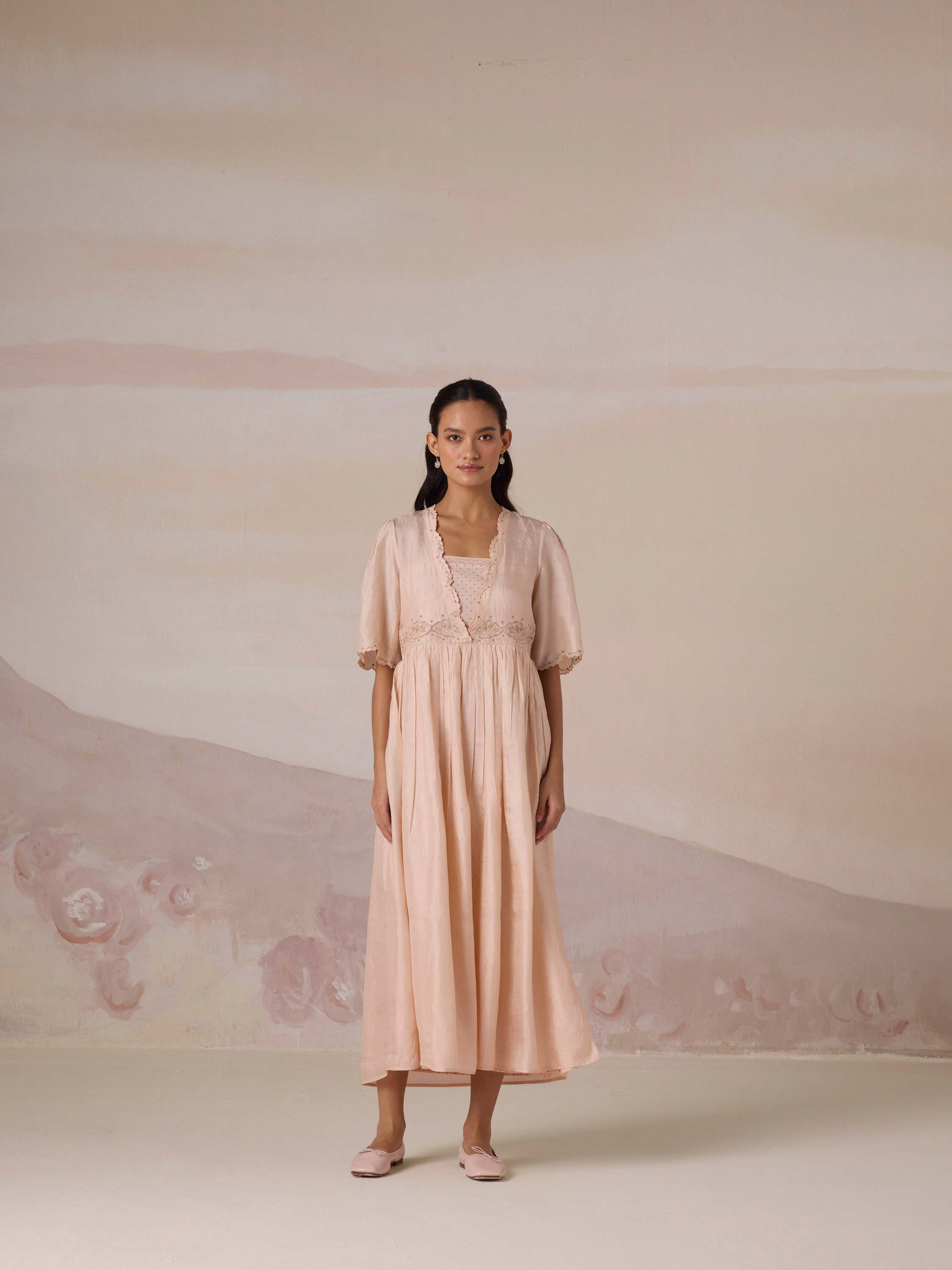 Silken Flight Embroidered Dress