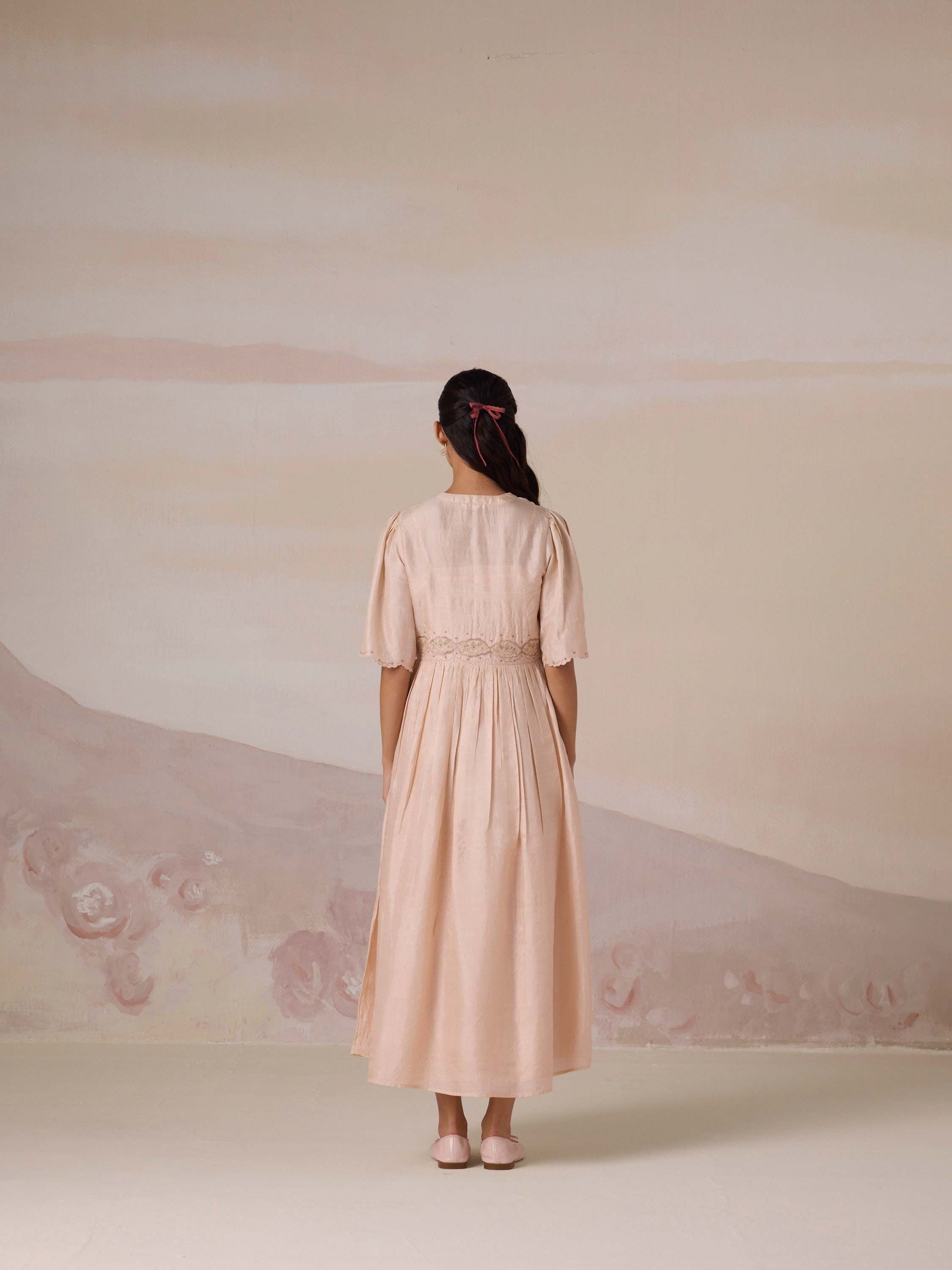 Silken Flight Embroidered Dress