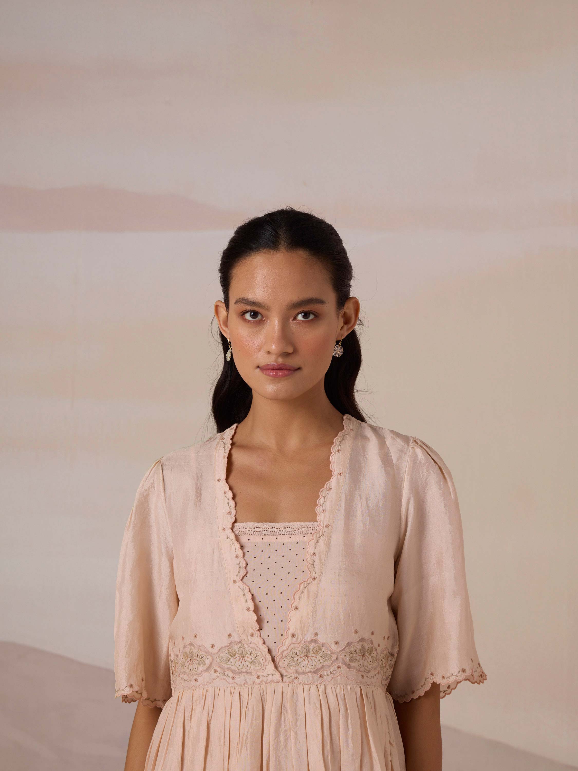 Silken Flight Embroidered Dress