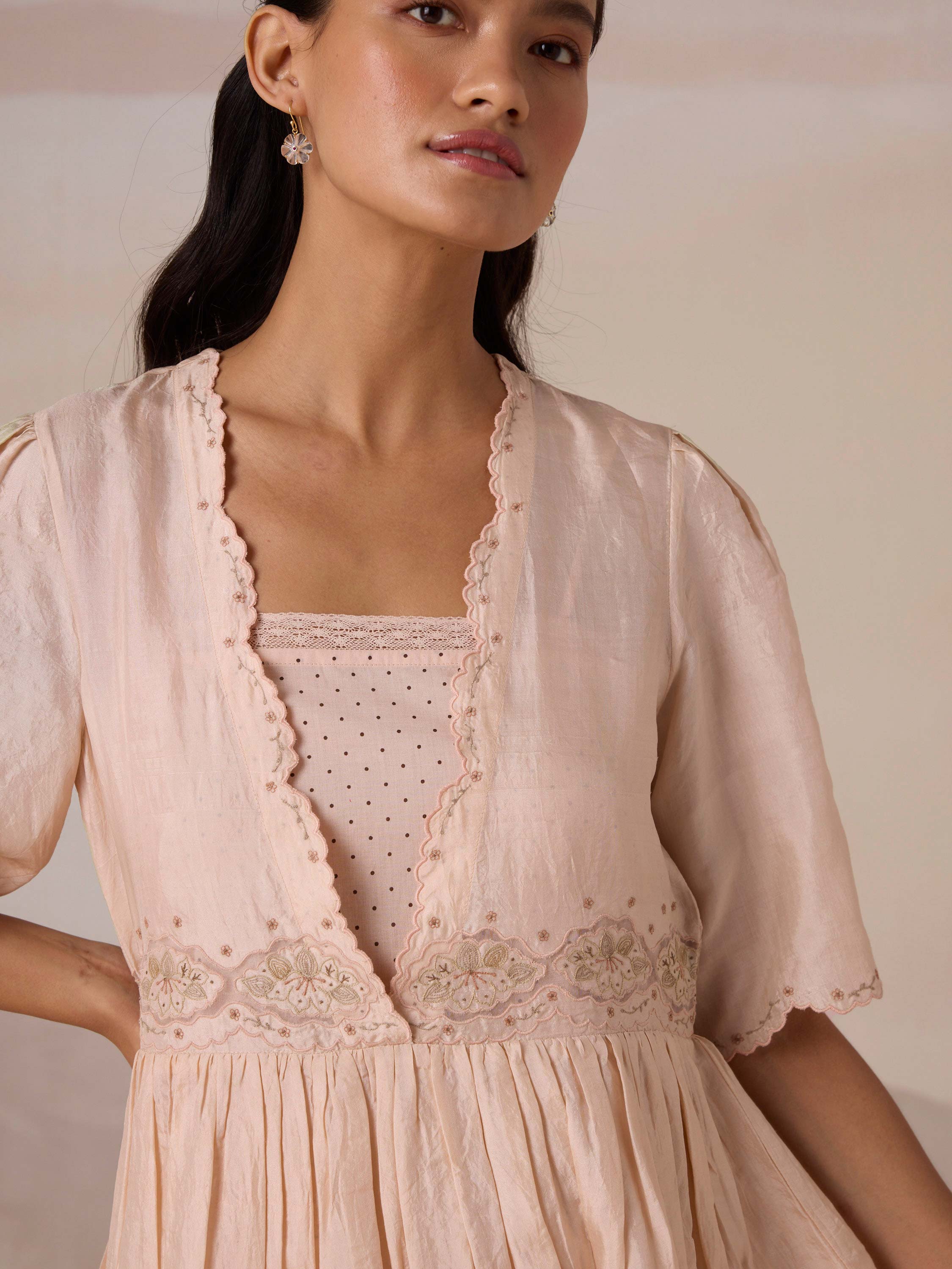 Silken Flight Embroidered Dress