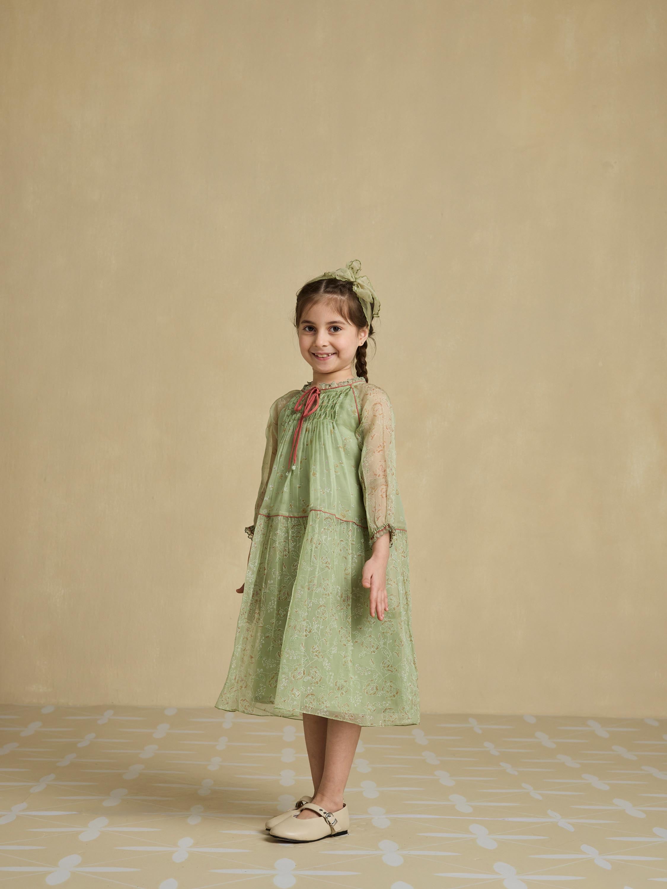 Little Flounce Organza Dress